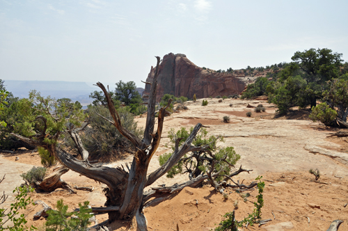 Mesa Arch Trail